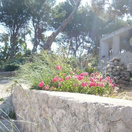 Villa Aquarium Gagliano del Capo Exterior photo