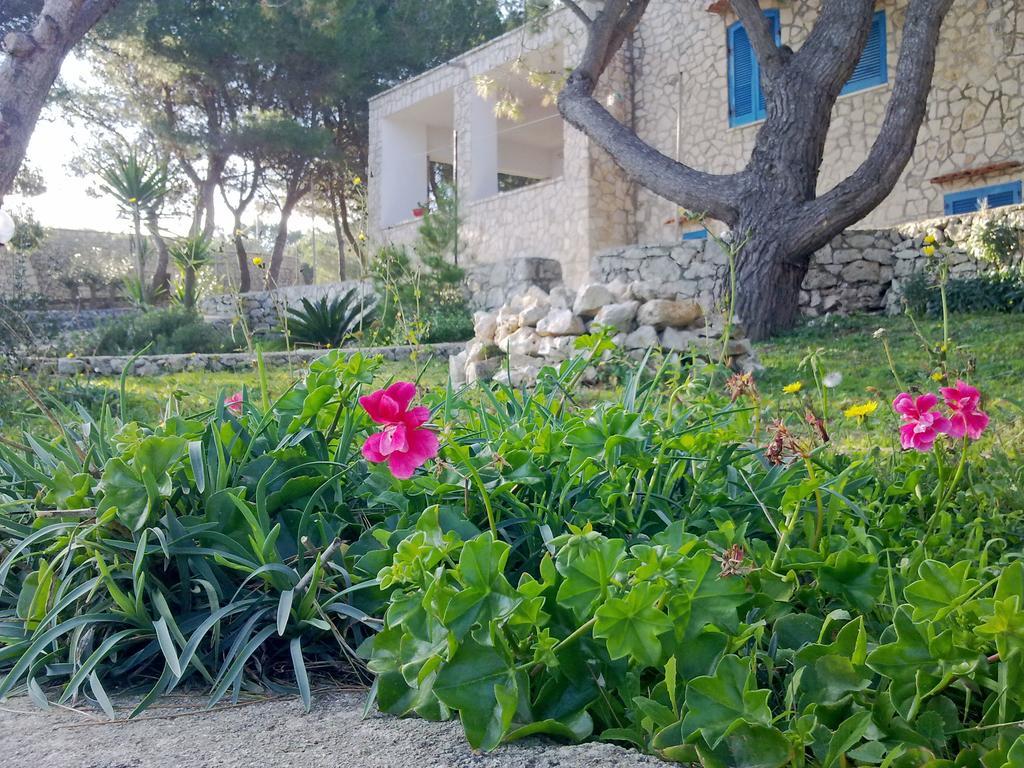 Villa Aquarium Gagliano del Capo Exterior photo