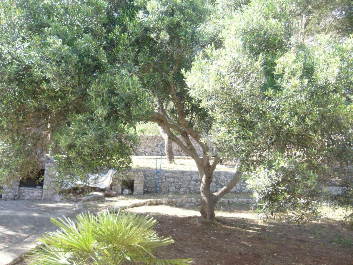 Villa Aquarium Gagliano del Capo Exterior photo