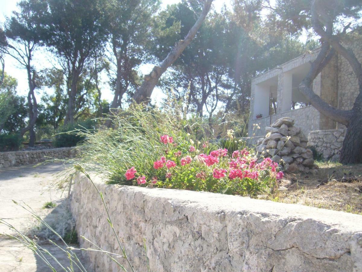 Villa Aquarium Gagliano del Capo Exterior photo