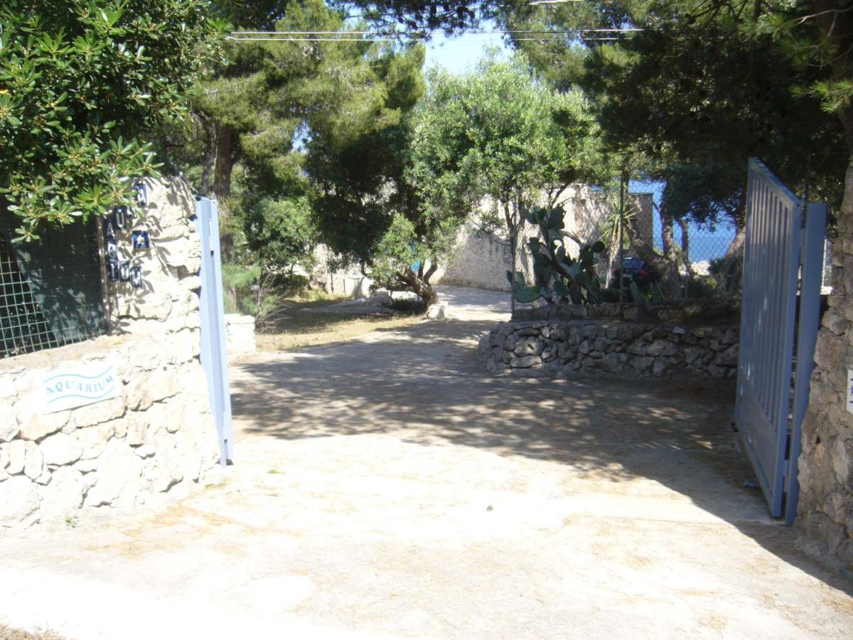 Villa Aquarium Gagliano del Capo Exterior photo